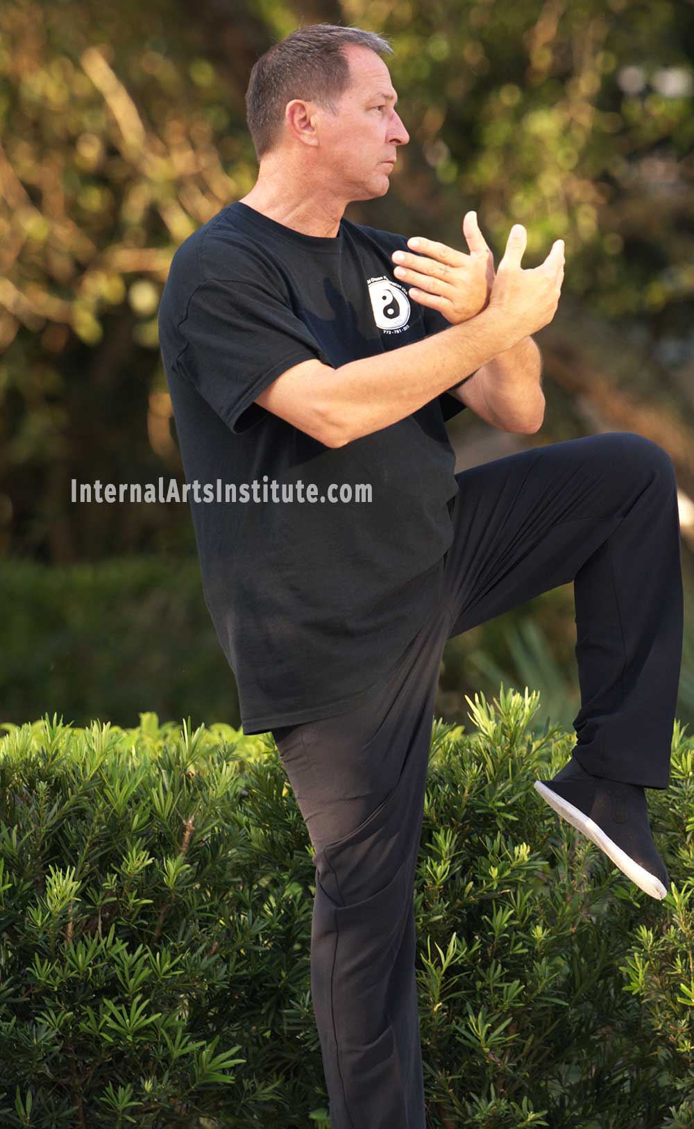 Tai Chi Chuan Long Form Dimitri Mougdis Internal Arts Institute