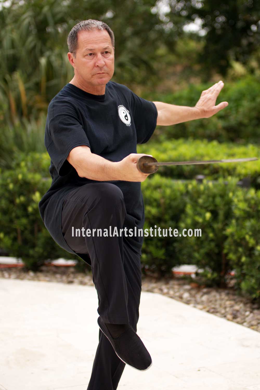 Knife Yang Style Tai Chi with Dimitri Mougdis