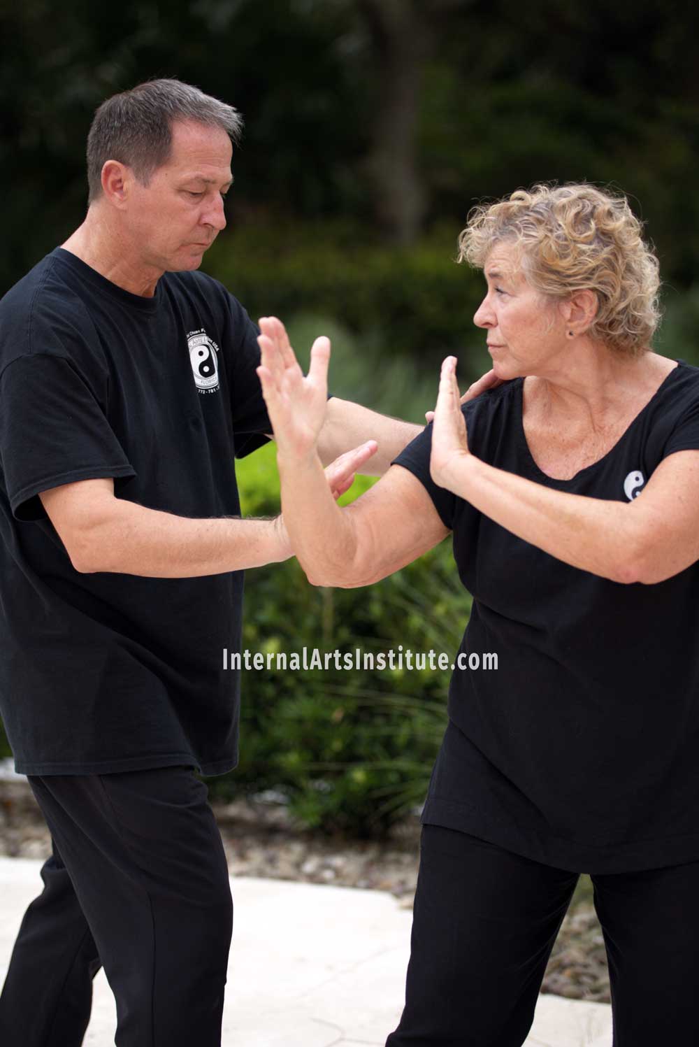 Push Hands Yang Family Style Tai Chi with Dimitri Mougdis Internal Arts Institute